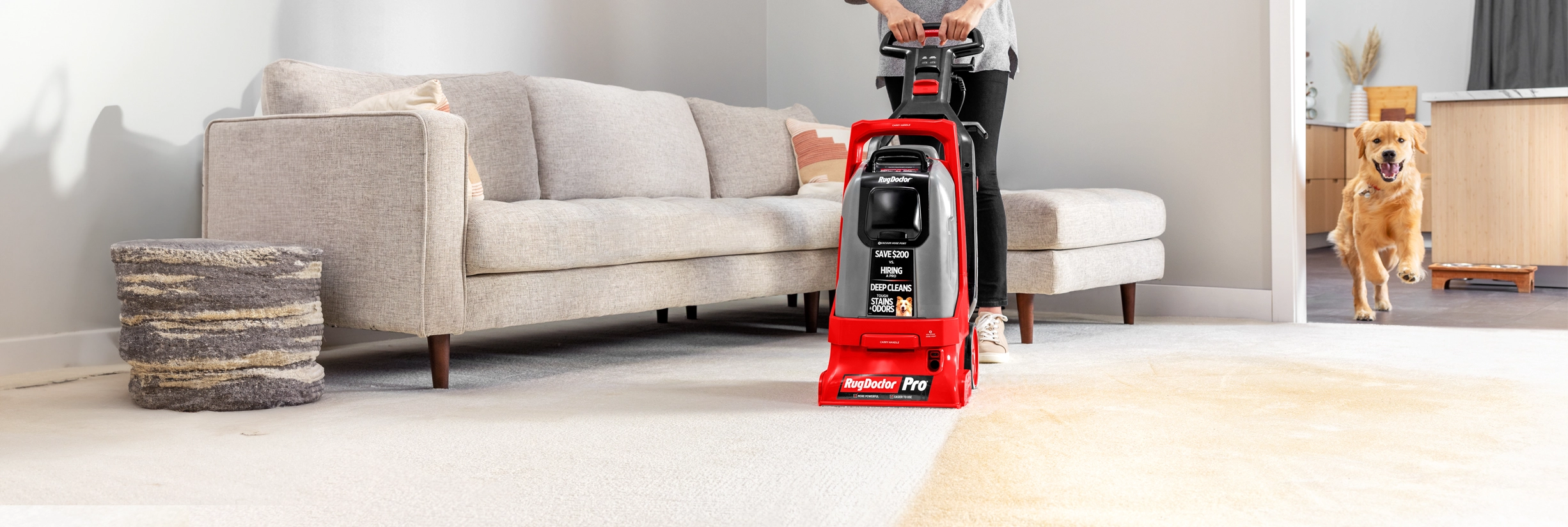 Carpet Cleaner Rug Doctor by BISSELL