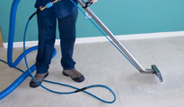 Carpet Cleaning New Jersey in Edison